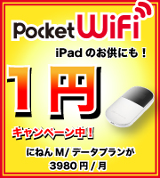 D25HW Pocket WiFi